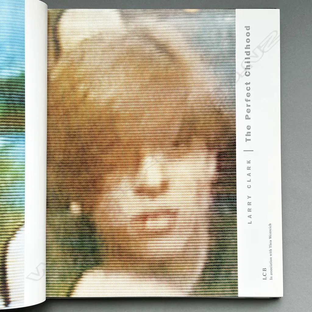 LARRY CLARK: THE PERFECT CHILDHOOD Image 1++